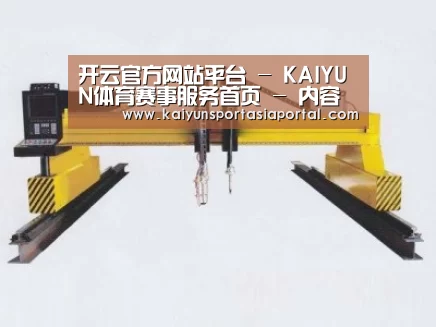 产品名称十九