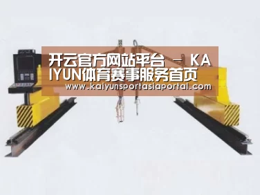 产品名称十九
