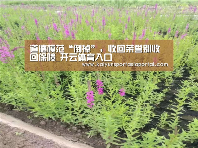 道德模范“倒掉”,收回荣誉别收回保障_开云体育入口(图2) 开云体育入口