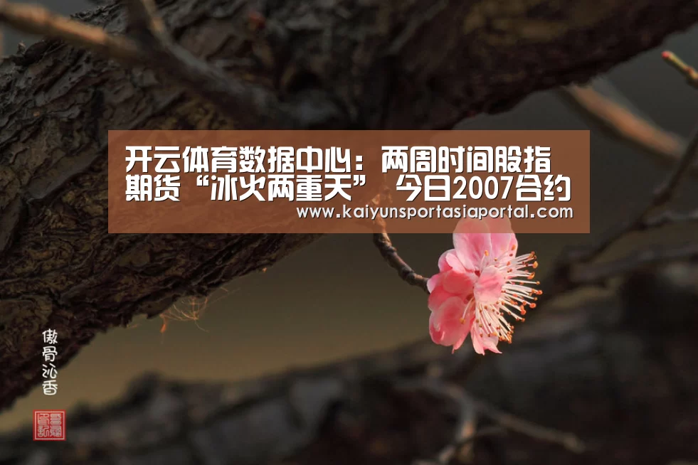 开云体育入口