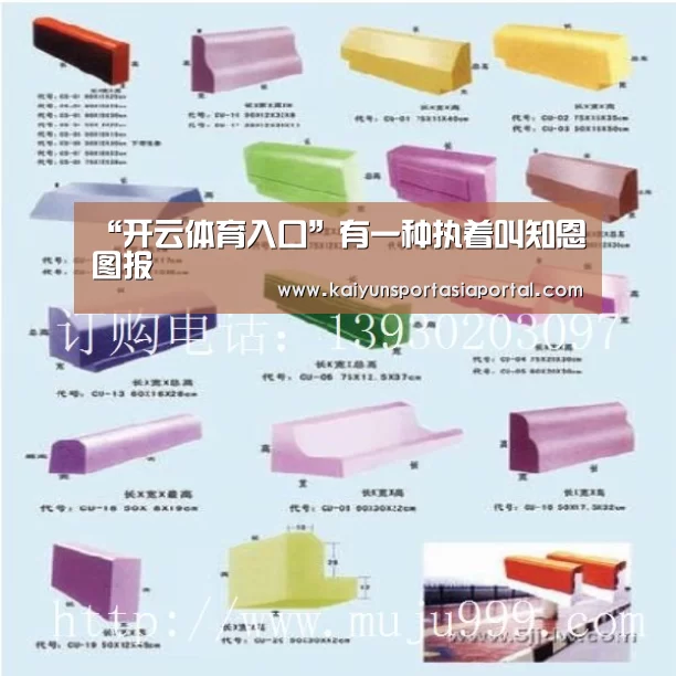 开云体育入口