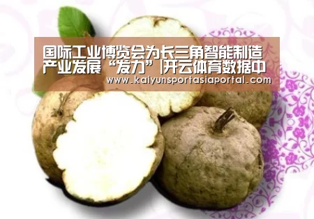 国际工业博览会为长三角智能制造产业发展“发力”|开云体育数据中心(图1) 开云体育入口