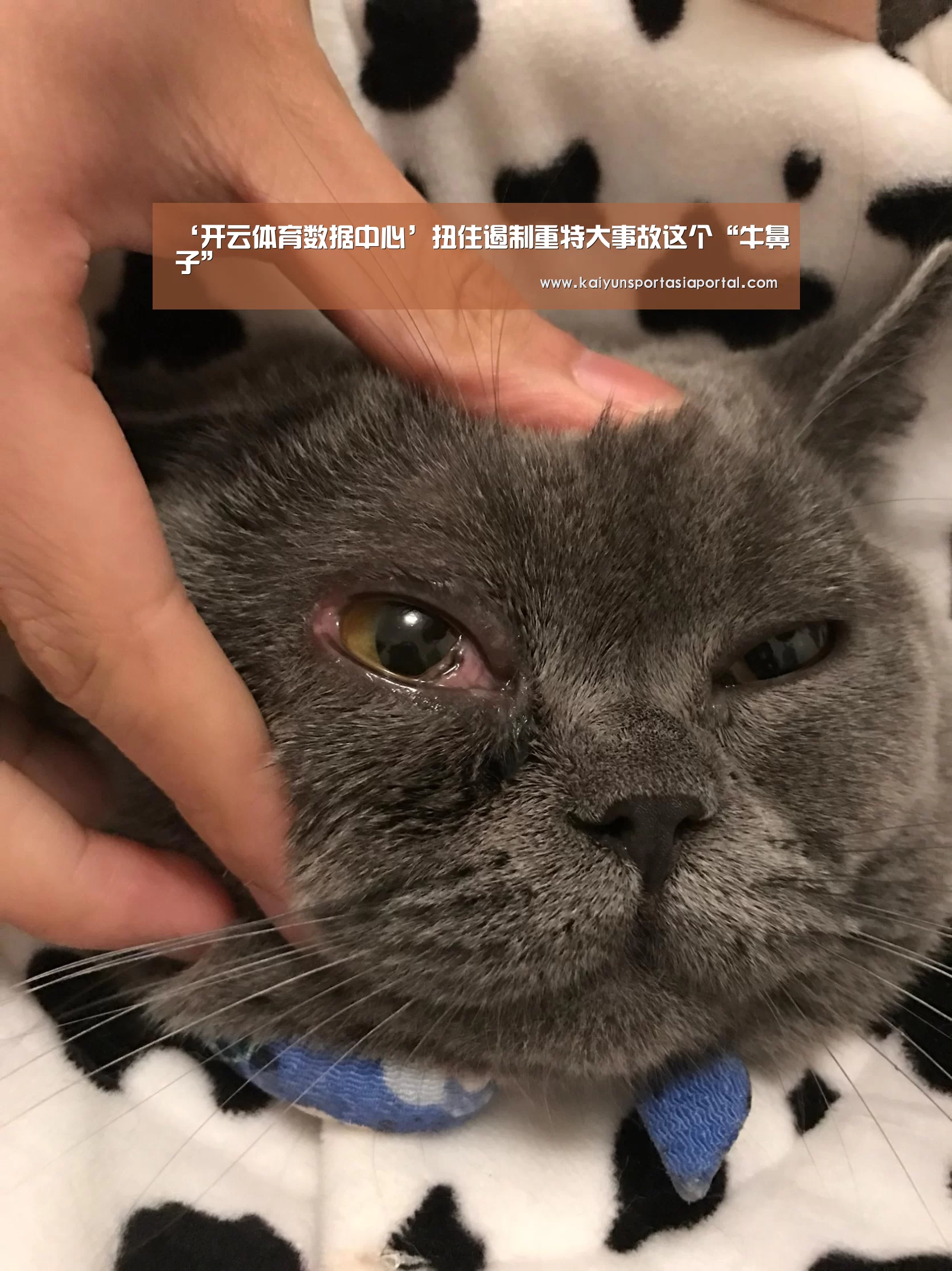 开云体育数据中心