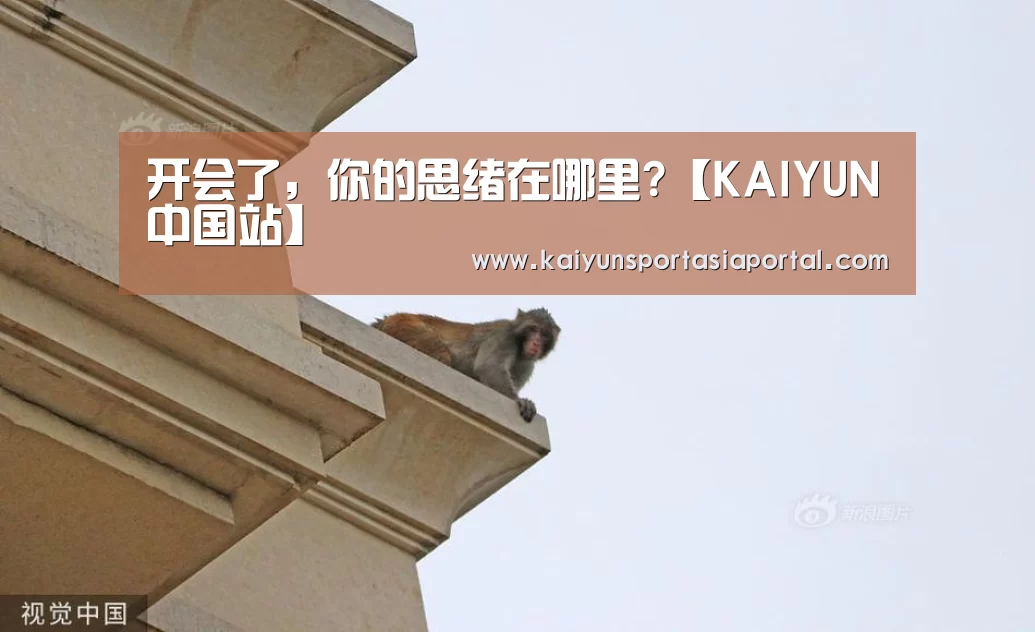 开会了,你的思绪在哪里?【KAIYUN中国站】(图4) 开云体育入口