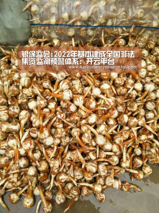 开云体育入口
