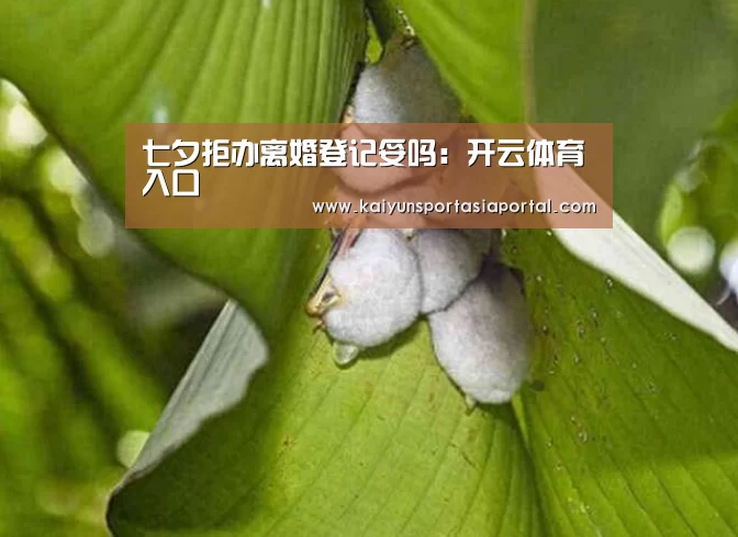 七夕拒办离婚登记妥吗:开云体育入口(图3) 开云平台
