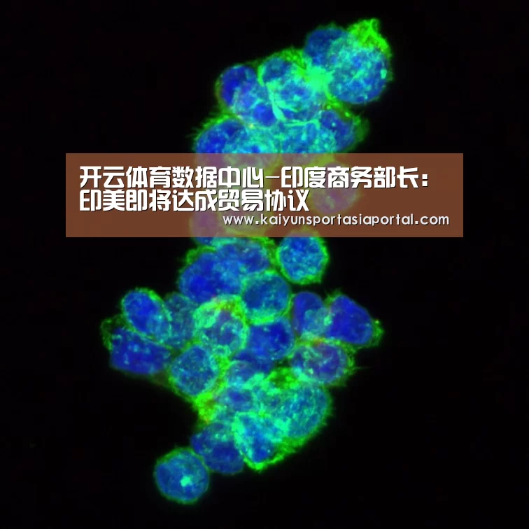 开云体育数据中心-印度商务部长:印美即将达成贸易协议(图1) 开云体育数据中心